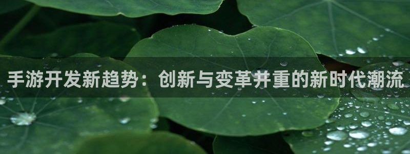 庄闲游戏平台：手游开发新趋势：创新与变革并重的新时代潮流