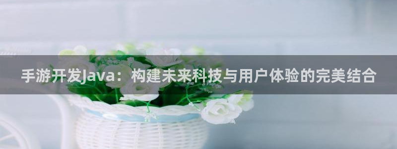 庄闲娱乐app下载：手游开发Java：构建未来科技与用户体验