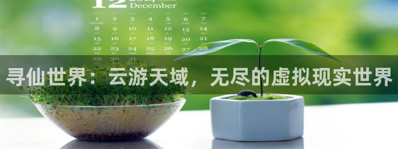 庄闲游戏真人：寻仙世界：云游天域，无尽的虚拟现实世界