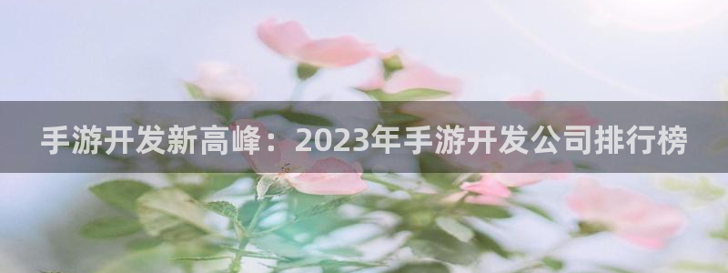 澳门庄闲游戏网：手游开发新高峰：2023年手游开发公司排行榜