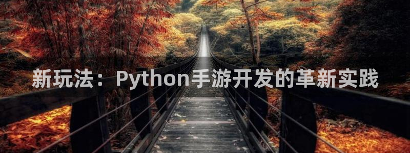 庄闲和单机游戏：新玩法：Python手游开发的革新实践