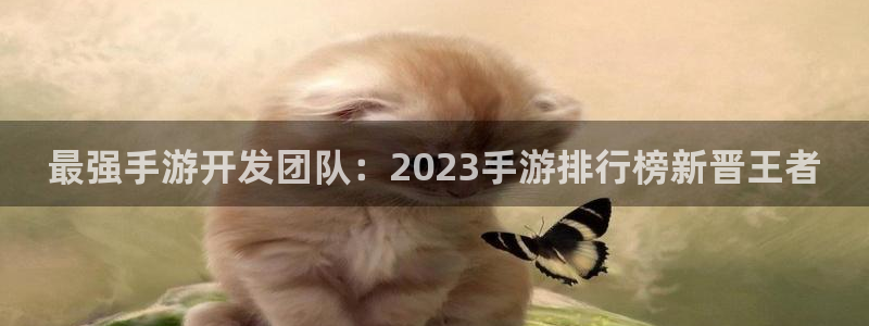 神奇的公式庄闲庄庄闲我来教教你怎么赢：最强手游开发团队：20