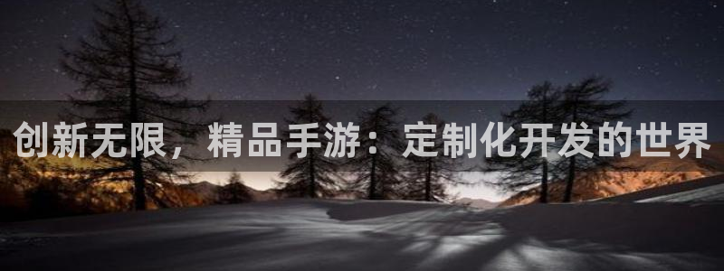 庄闲计划软件：创新无限，精品手游：定制化开发的世界