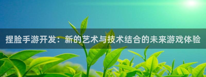 庄闲玩法：捏脸手游开发：新的艺术与技术结合的未来游戏体验