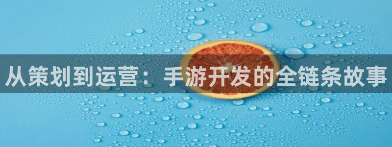 庄闲玩法规则讲解：从策划到运营：手游开发的全链条故事