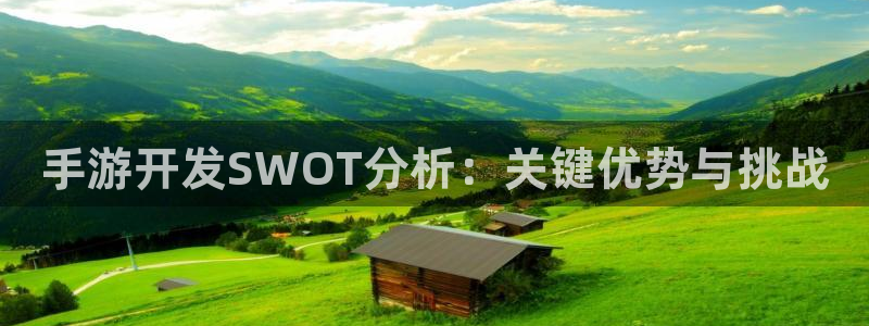 庄闲有规律吗：手游开发SWOT分析：关键优势与挑战