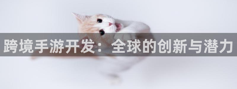 庄闲游戏优惠：跨境手游开发：全球的创新与潜力