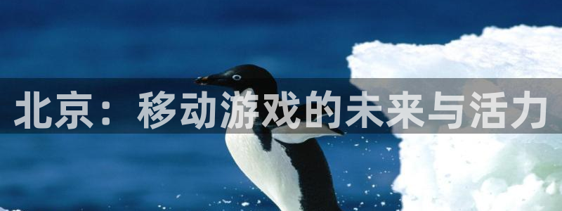 庄闲玩法最大点数：北京：移动游戏的未来与活力