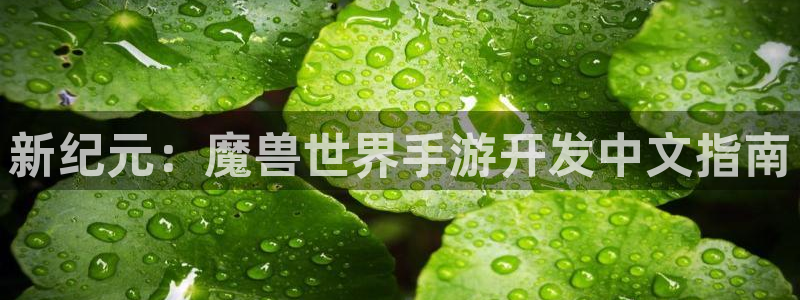 庄闲玩法：新纪元：魔兽世界手游开发中文指南