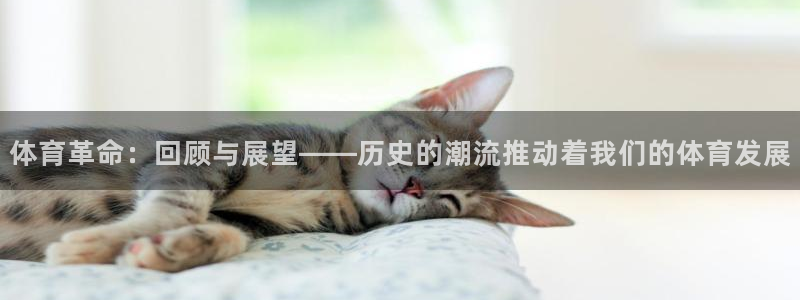 xc体育app官方网站：体育革命：回顾与展望——历史的潮流推动着我们的体育发展