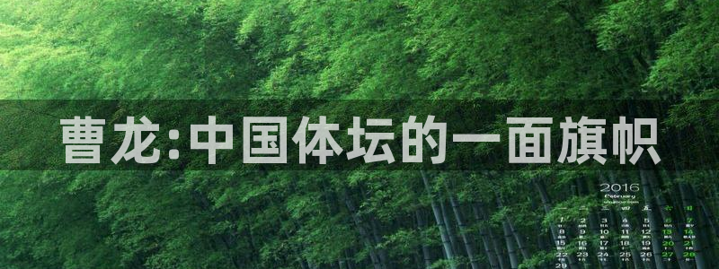 xc体育