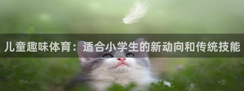 xc体育：儿童趣味体育：适合小学生的新动向和传统技能