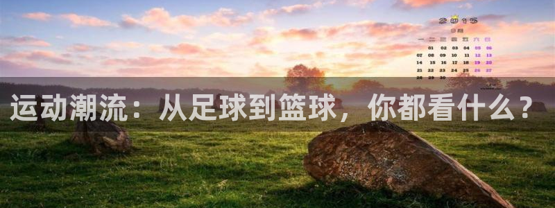 xc体育：运动潮流：从足球到篮球，你都看什么？